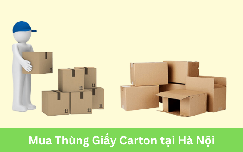 mua-thung-giay-carton-o-dau