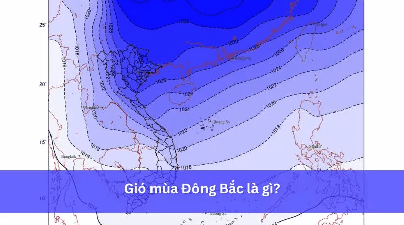 gio-mua-dong-bac