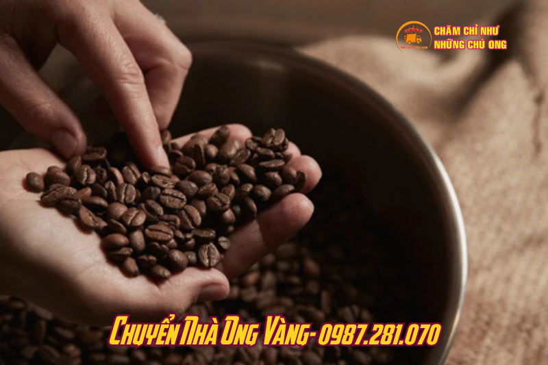 Khử mùi sơn nhà mới bằng cà phê