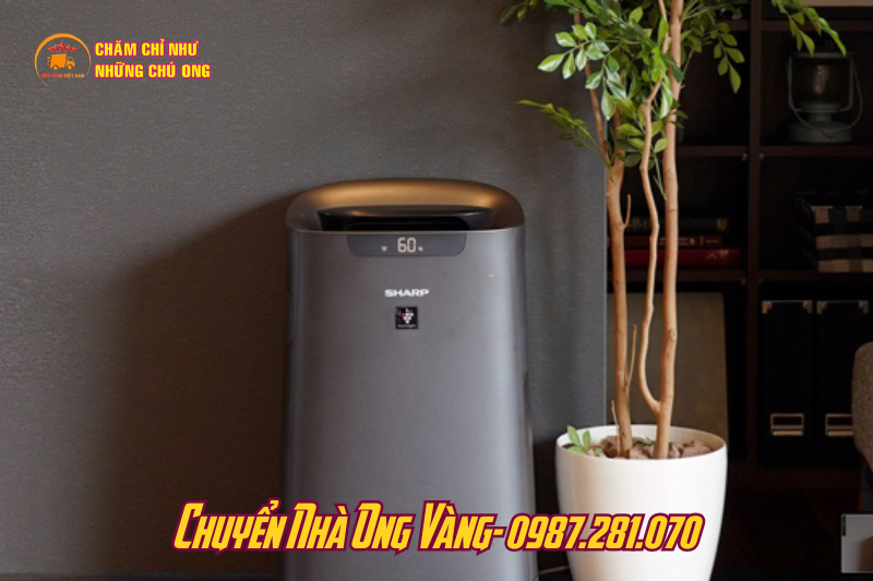 Khử mùi sơn tường nhà mới bằng máy lọc không khí