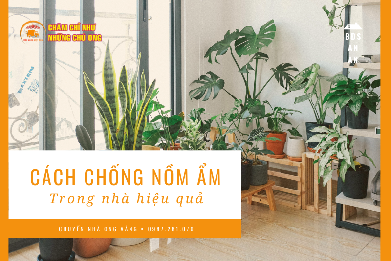 cách chống nồm ẩm trong nhà đơn giản lại hiệu quả nhanh chóng