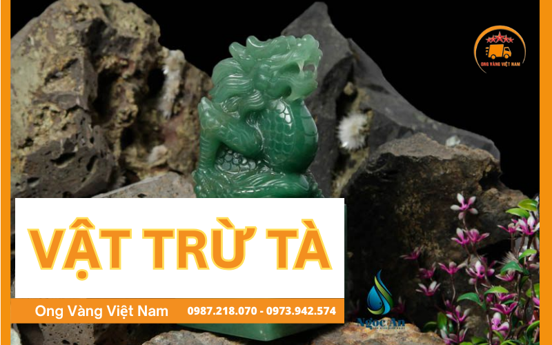 vat-tru-ta