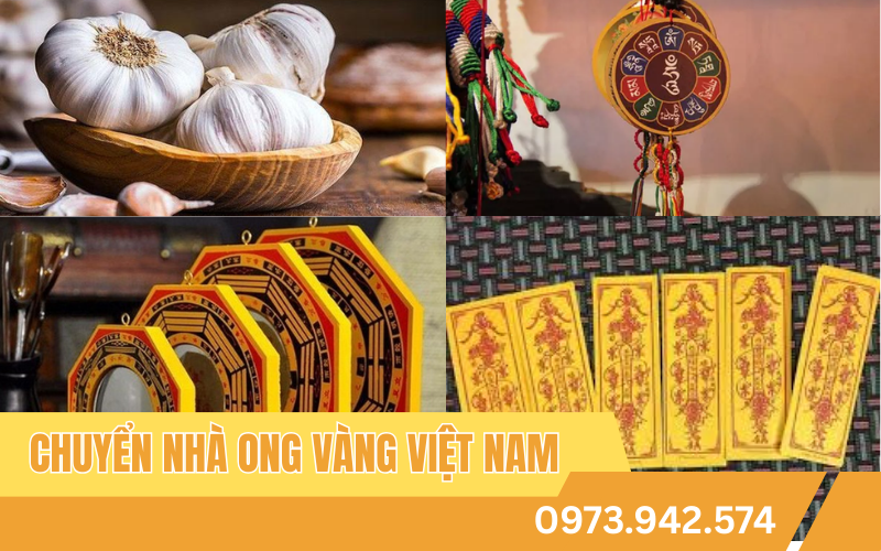 vi-tri-dat-vat-tru-ta