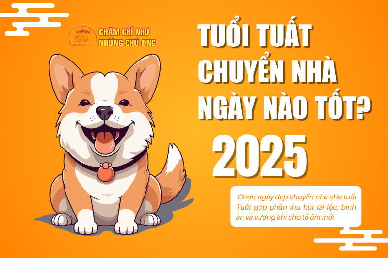 Tuổi Tuất chuyển nhà ngày nào tốt? Cẩm nang chọn ngày lành đón tài lộc
