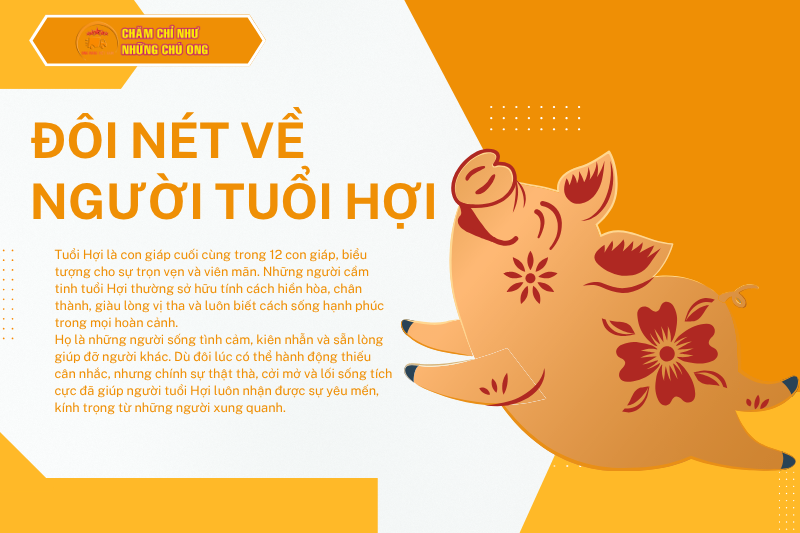 Đôi nét về người tuổi Hợi