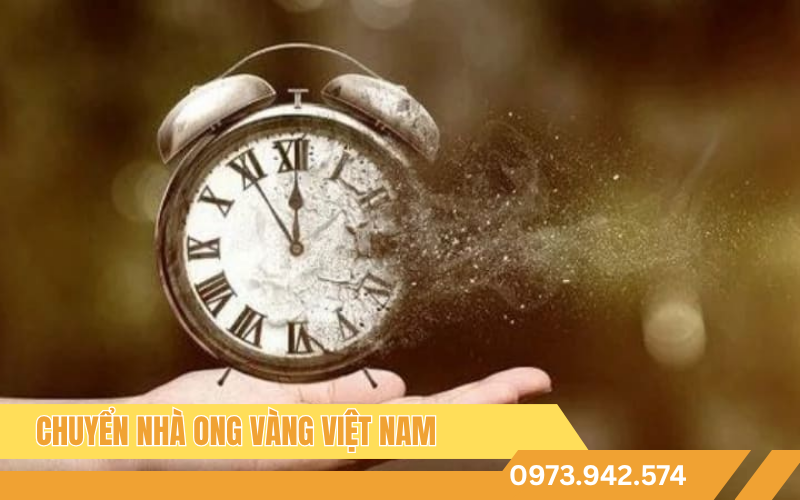 luu-y-ngay-tot-chuyen-nha-cho-tuoi-giap-tuat