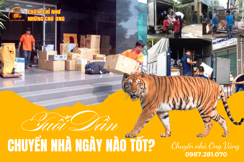Tuổi Dần Chuyển Nhà Ngày Nào Tốt? Chọn Ngày Vàng Đón Vượng Khí
