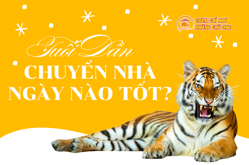 Vì sao người tuổi Dần cần đặc biệt chú trọng đến việc tìm hiểu "Tuổi Dần chuyển nhà ngày nào tốt?"